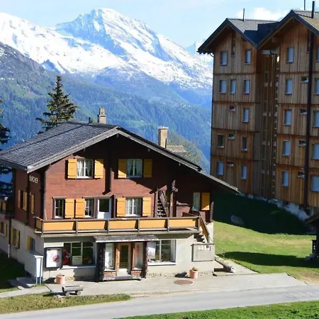 Burcher Haus 1- Og S-w *